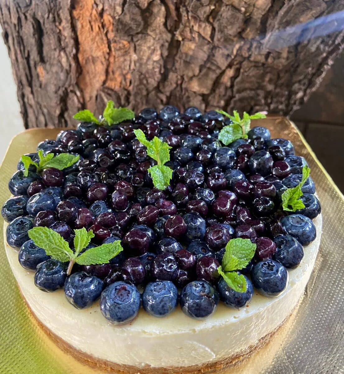 Newyork Style Baked Cheesecake